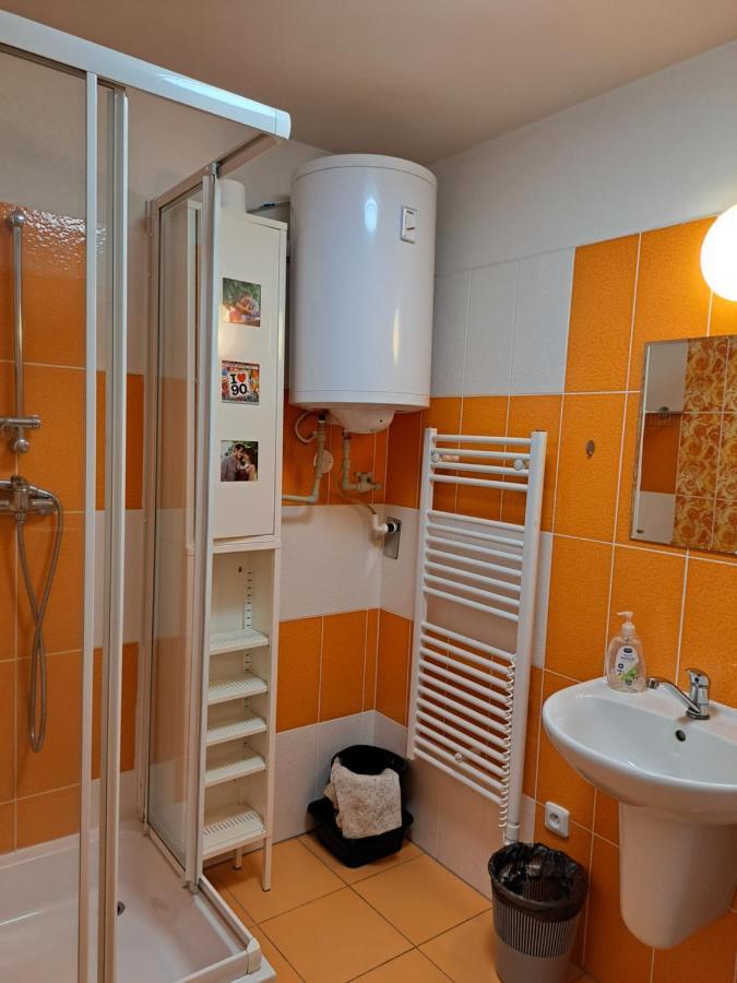 Apartman Max Lipno Липно-над-Влтавой Экстерьер фото